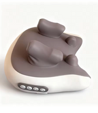 Pillow Massager